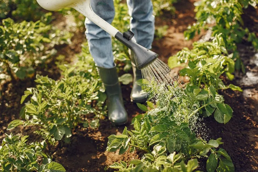 agricultura de precis o mais que uma tecnologia um investimento no agro brasileiro e0a92473