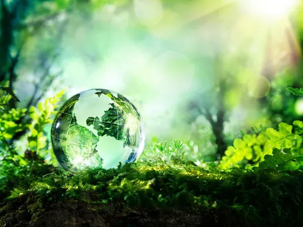 bonds de biodiversidade col mbia apresenta uma estrat gia de financiamento para os ecossistemas 8d6d054a