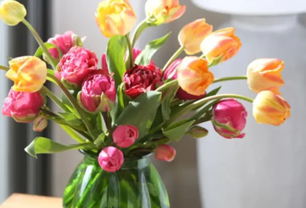 descubra como cultivar tulipas em casa jeito lindo e f cil d759c2ec