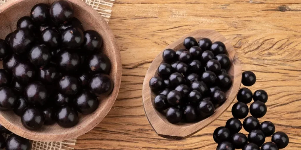 tenha jabuticaba em casa veja o passo a passo para plantar e cuidar 64dae3ad