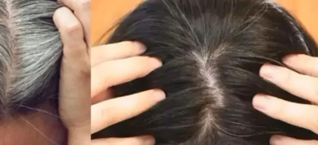 tonalizante natural que cobre fios brancos com 2 ingredientes super f cil e pr tico d3deeadf